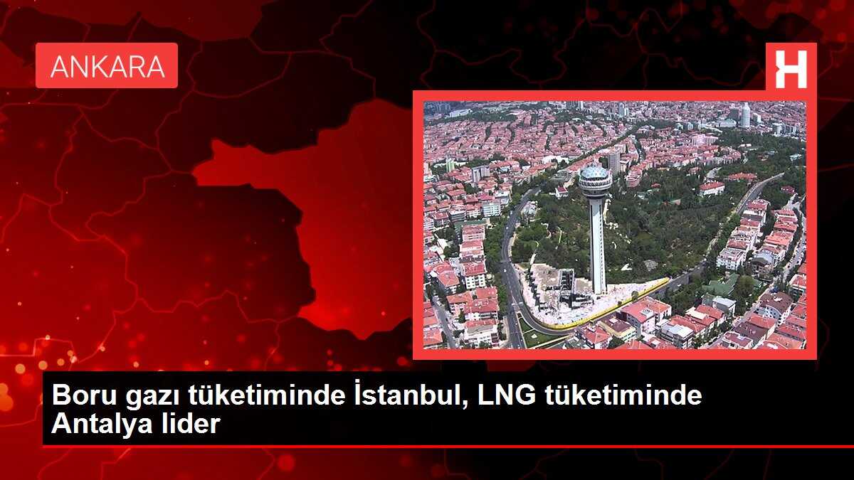 Boru gazı tüketiminde İstanbul, LNG tüketiminde Antalya lider