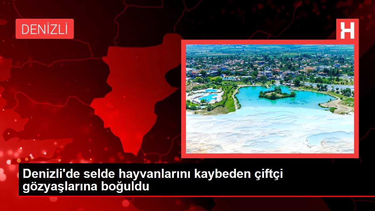 Denizli'de selde hayvanlarını kaybeden çiftçi gözyaşlarına boğuldu