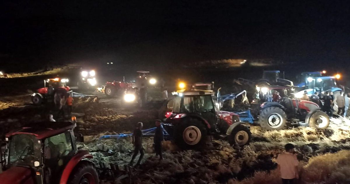 Adıyaman'da 136 dönümlük arpa tarlasında çıkan yangına polisler terlikleriyle müdahale etti
