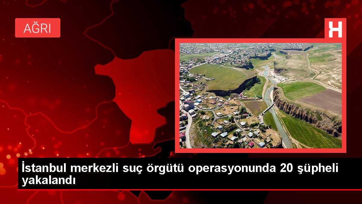 İstanbul merkezli suç örgütü operasyonunda 20 şüpheli yakalandı