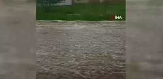 Sağanak sele dönüştü, tarım arazileri zarar gördü