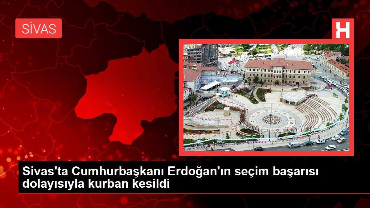 Sivas'ta Cumhurbaşkanı Erdoğan'ın seçim başarısı dolayısıyla kurban kesildi