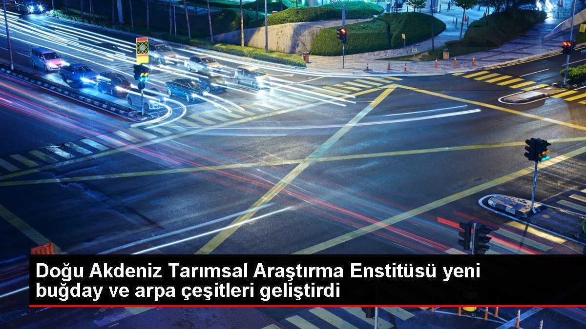 Doğu Akdeniz Tarımsal Araştırma Enstitüsü yeni buğday ve arpa çeşitlerini tescilledi