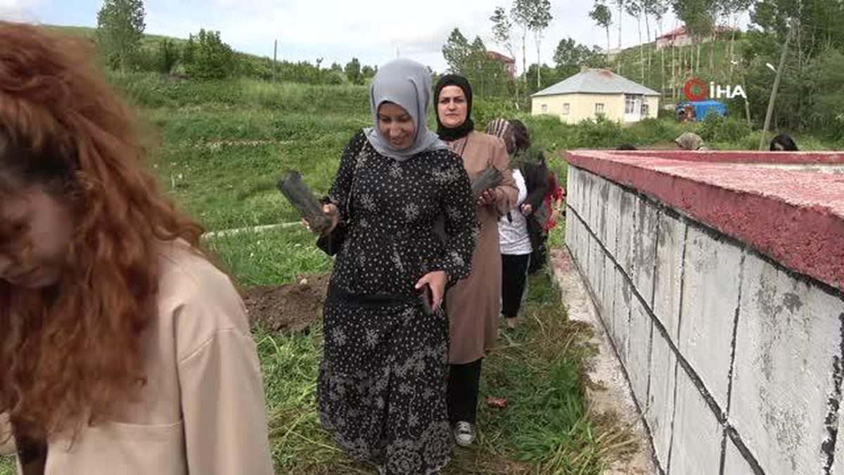Yüksekovalı kadınlar fidan dikti