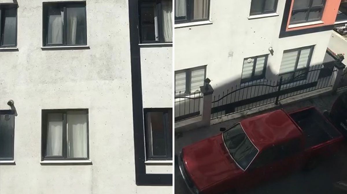 Kağıthane'de arı istilası! Vatandaşlar pencereleri açamadı