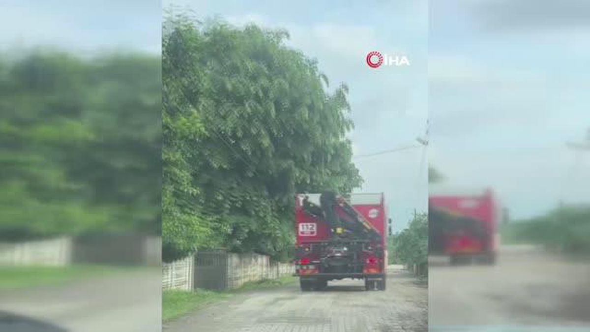Kuyuya düşen köpek itfaiye ekipleri tarafından kurtarıldı