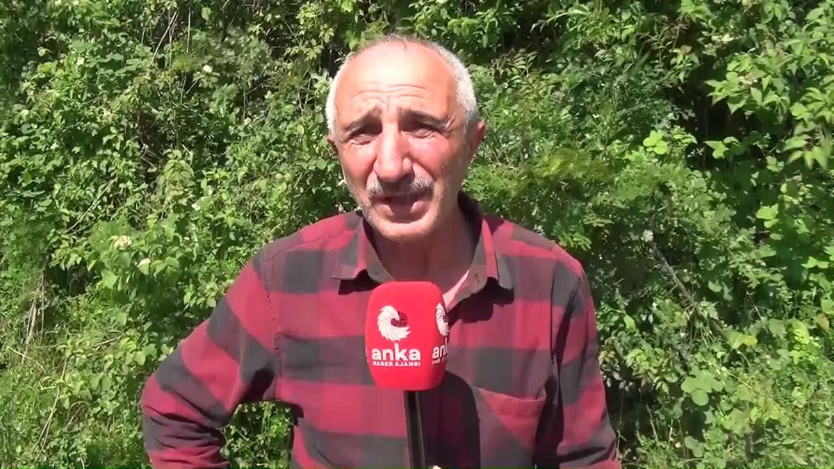Sinoplu çiftçiler çeltik fiyatlarındaki artışa dikkat çekti