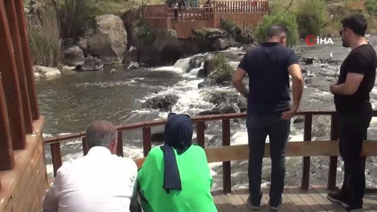 Martıların balık avı görsel şölen sunuyor