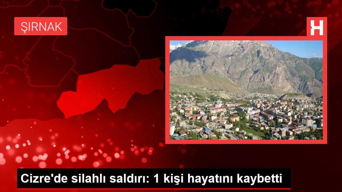Cizre'de silahlı saldırı: 1 kişi hayatını kaybetti