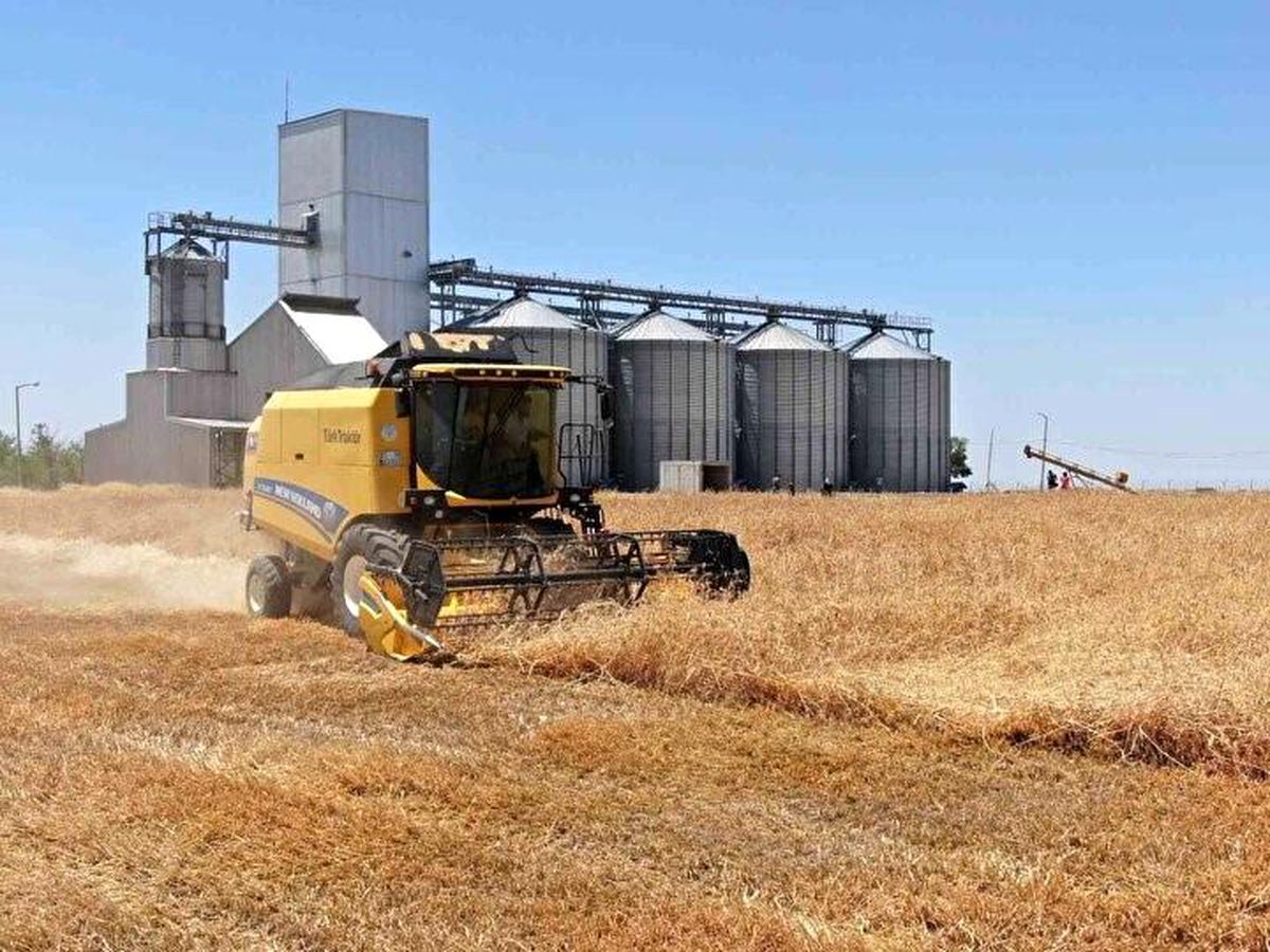 Mardin'de Ziraat Odaları Biçerdöver Hasat Fiyatlarını Açıkladı