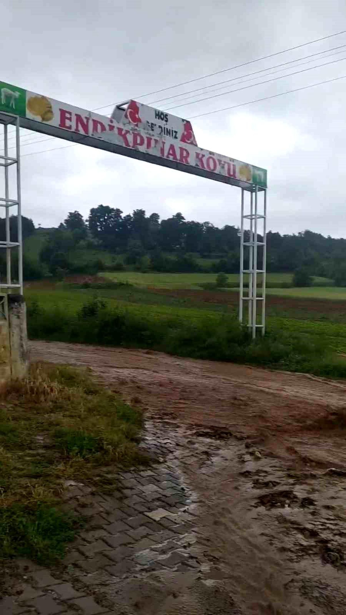 Tokat'ta aşırı yağış sele neden oldu