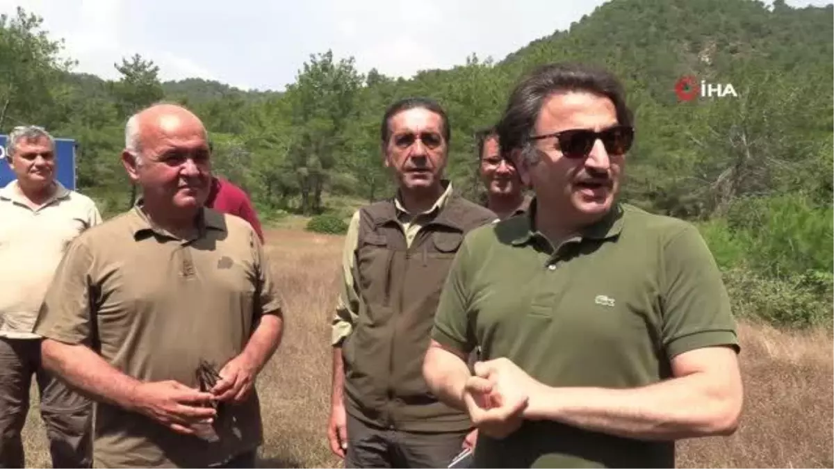 Caretta carettaların yuva çevresine kafes yerleştirildi