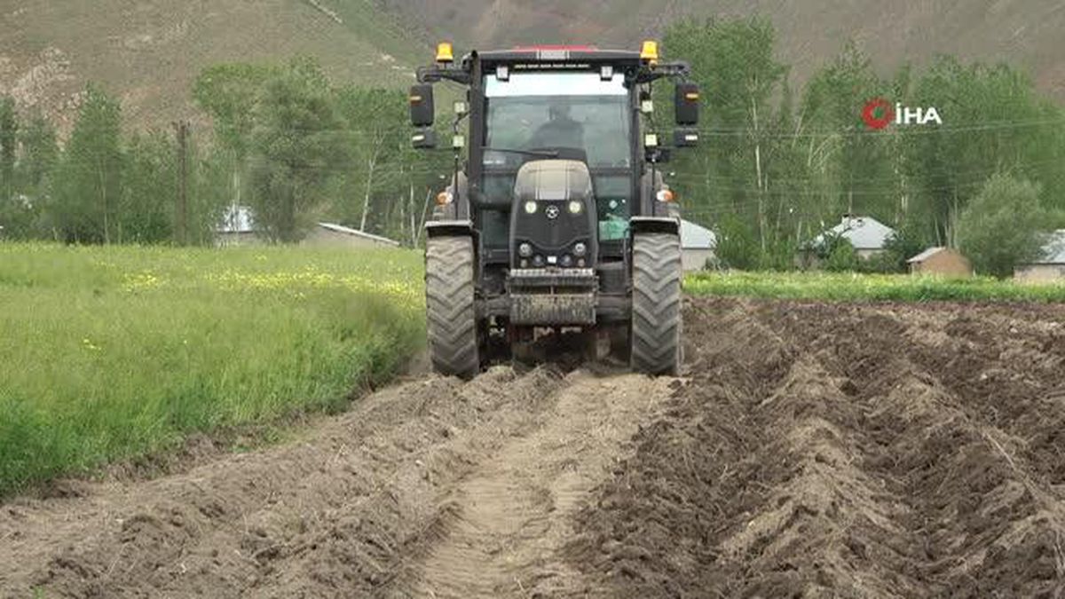 Cilo Dağı eteklerinde kapya biber ve domates üretimi
