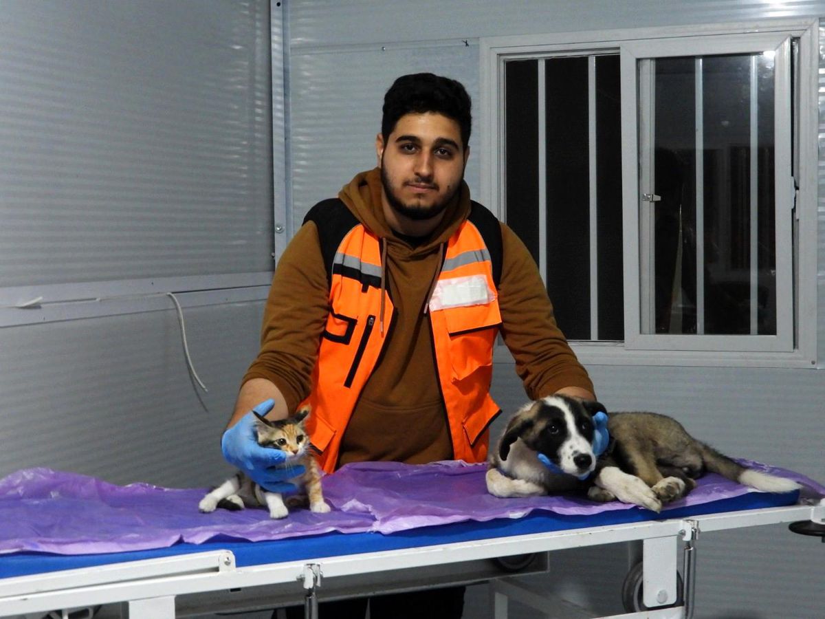 Veterinerlik öğrencisi depremzedelerin evcil hayvanlarını tedavi ediyor