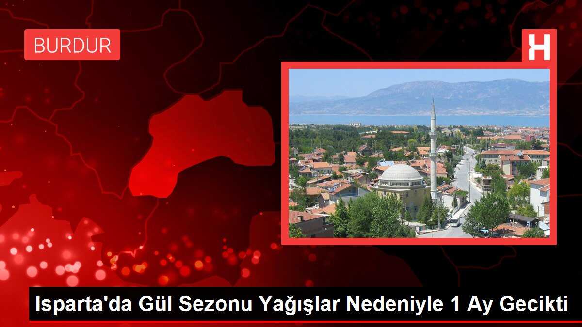 Isparta'da Gül Sezonu Yağışlar Nedeniyle 1 Ay Gecikti