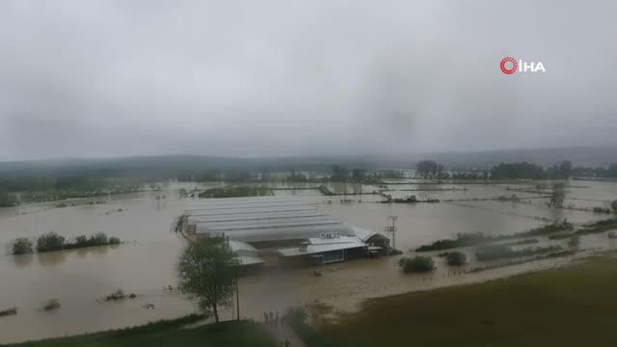 Sinop'ta sel çeltik tarlalarını ve seraları vurdu