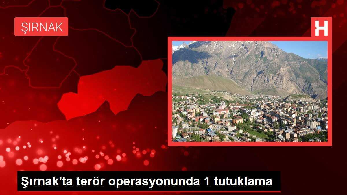 Şırnak'ta terör operasyonunda 1 tutuklama