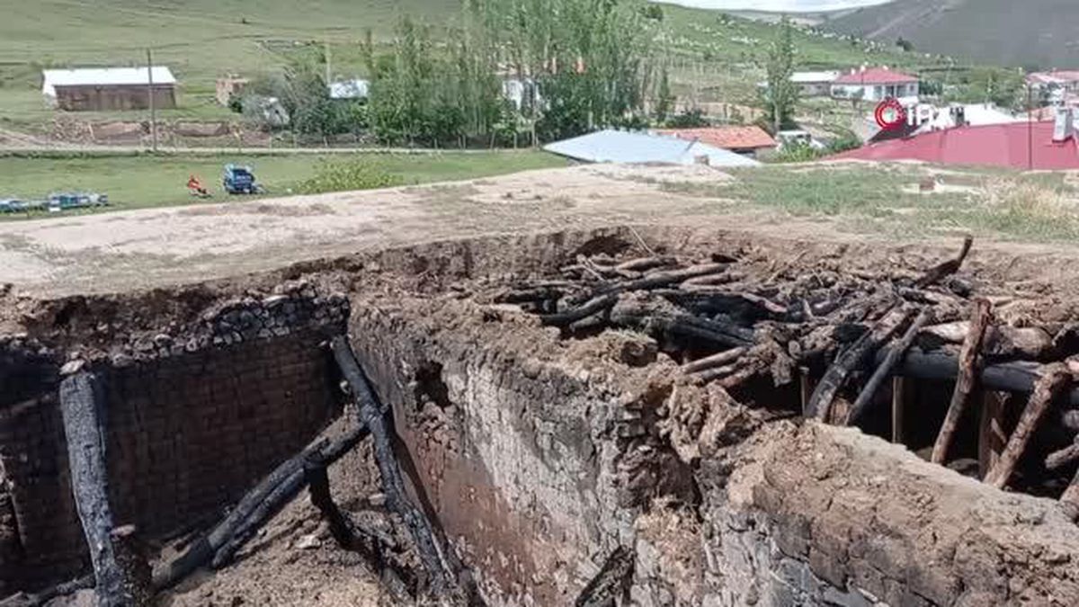 Sivas'ta 6 farklı noktada çıkan yangında 13 hayvan telef oldu