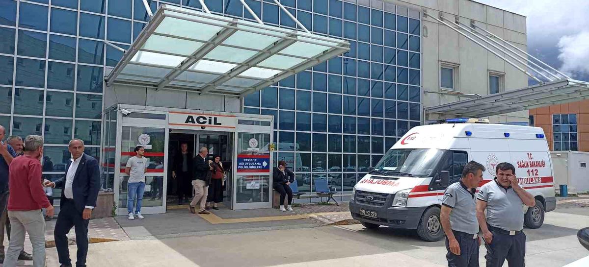 Tokat'ta Kavak Ağacı Keserken Hayatını Kaybetti