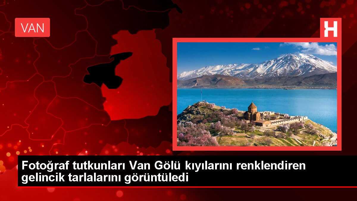 Van Gölü kıyısındaki gelincik tarlaları fotoğraf tutkunlarının ilgisini çekti