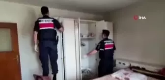 Jandarmadan 9 ilde eş zamanlı tarihi eser operasyonu