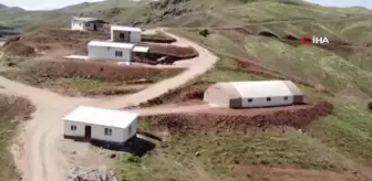 Kandil Barajı'nda İlk Alabalık Hasadı Yapıldı: Avrupa ve Rusya'ya Gönderilecek