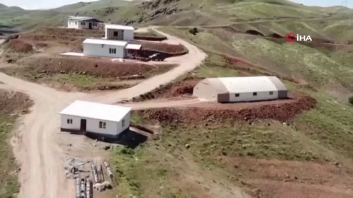 Kandil Barajı'nda İlk Alabalık Hasadı Yapıldı: Avrupa ve Rusya'ya Gönderilecek