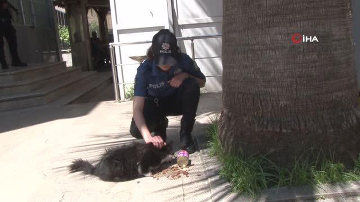 Pendik'te polise taşla saldıran şahıs adliyeye sevk edildi