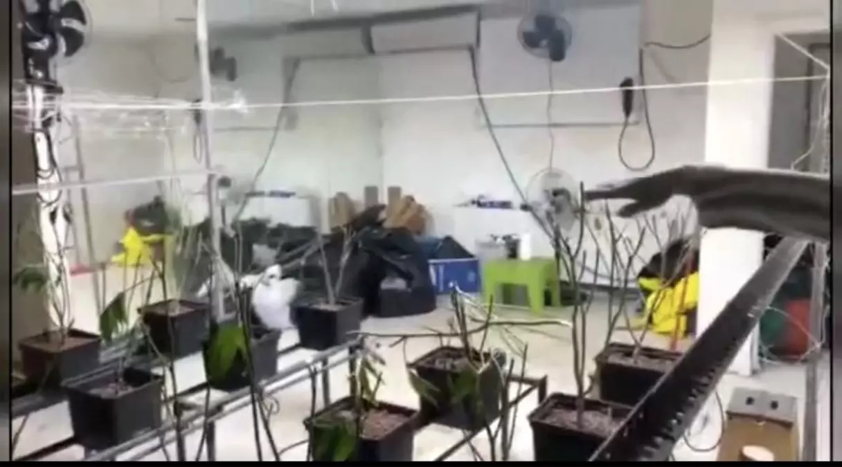 Sarıyer'de 17 kilogram marihuana ele geçirildi