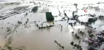 Terme'de Sel Felaketi: Hayvanlarını Kurtarmaya Çalışan Vatandaşlar Yetkililerden Yardım İstiyor