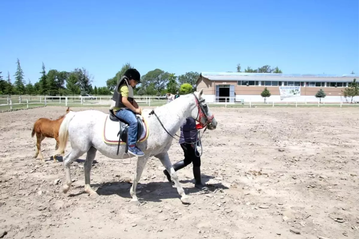 Malatya'da Atlı Terapi Programı Başlatıldı