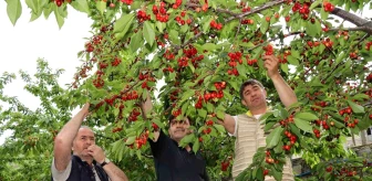 Erzurumlu Girişimci Devlet Desteğiyle Hayalini Kurduğu Meyve Bahçesine Kavuştu