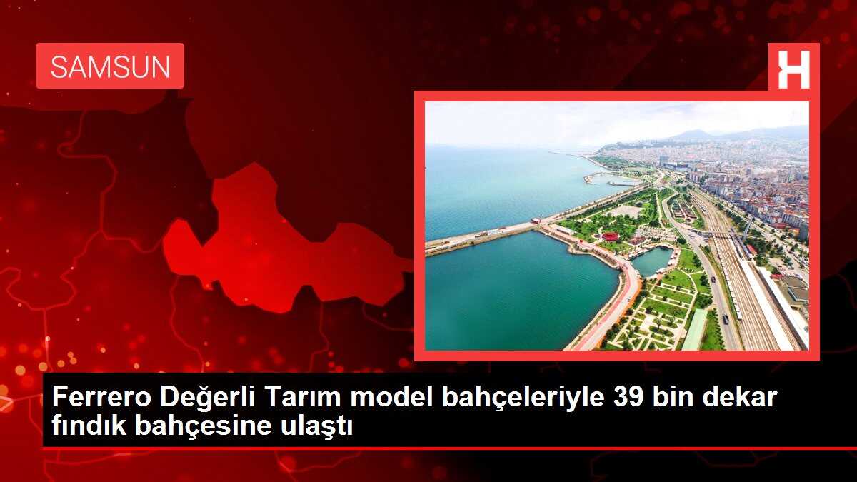 Ferrero Değerli Tarım model bahçeleriyle 39 bin dekar fındık bahçesine ulaştı