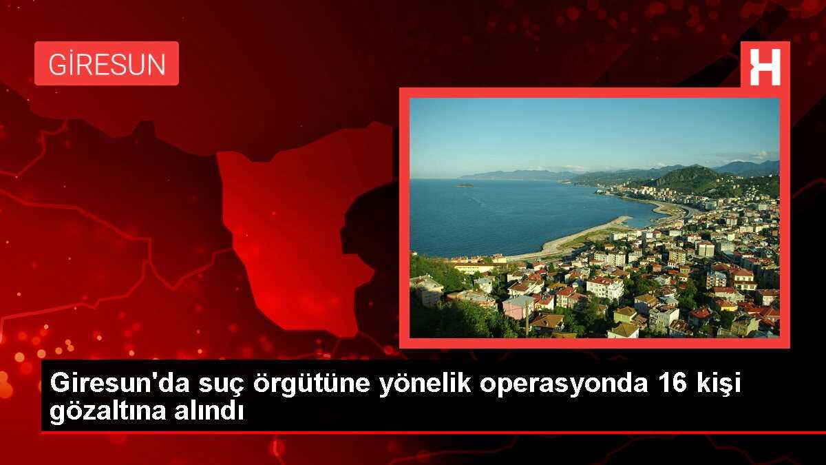 Giresun'da suç örgütüne operasyon: 16 kişi yakalandı