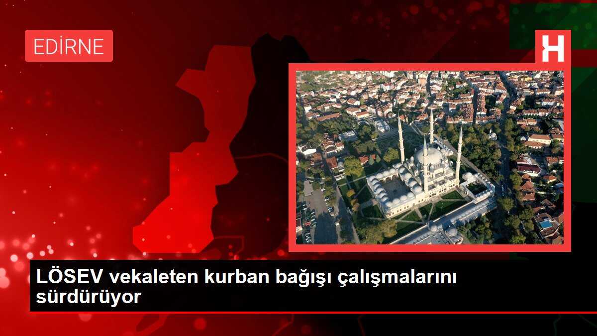 LÖSEV vekaleten kurban bağışı çalışmalarını sürdürüyor