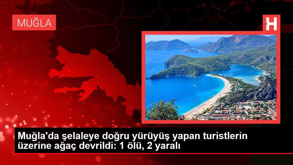 Muğla'da şelaleye doğru yürüyüş yapan turistlerin üzerine ağaç devrildi: 1 ölü, 2 yaralı