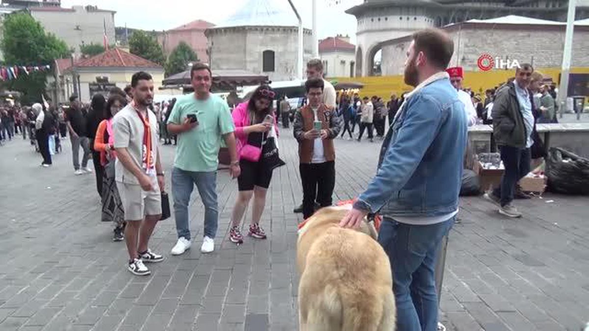 Şampiyon dev köpek Taksim'de ilgi odağı oldu