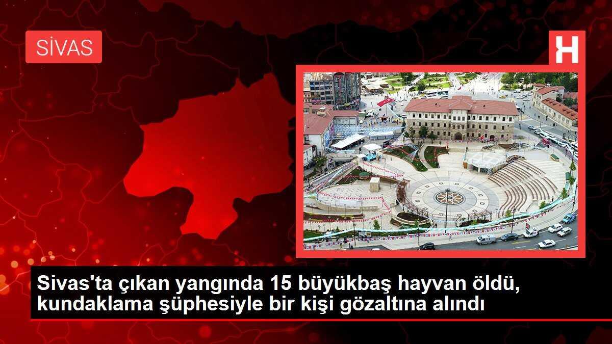 Sivas'ta çıkan yangında 15 büyükbaş hayvan öldü, kundaklama şüphesiyle bir kişi gözaltına alındı