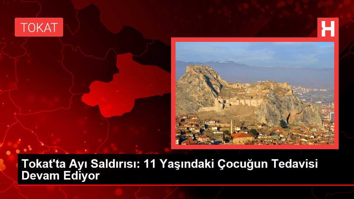 Tokat'ta Ayı Saldırısı: 11 Yaşındaki Çocuğun Tedavisi Devam Ediyor