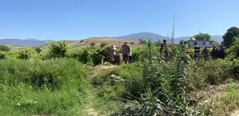 Ağaçtaki kuşu vurmak isterken komşusunu öldüren yaşlı adam, serbest bırakıldı