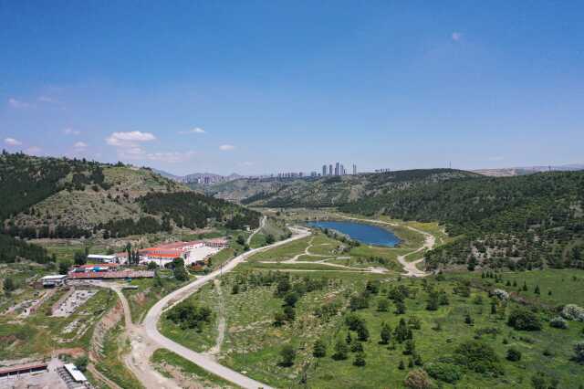 Aralıksız yağışlar Ankara'yı adeta Karadeniz'e çevirdi! Dağlar tepeler yeşil örtüyle kaplandı