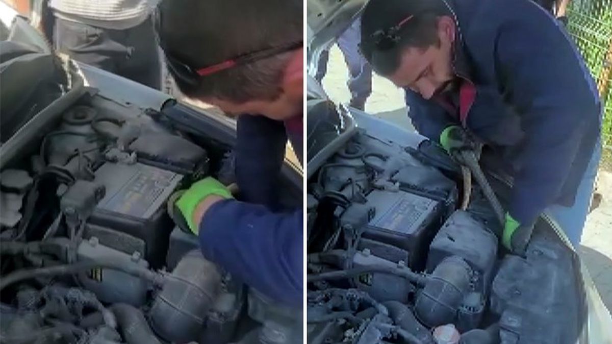 Bolu'da otomobilin motor kısmına giren 2 metre uzunluğundaki yılanı itfaiye ekipleri çıkardı