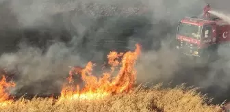 Diyarbakır'da ekili alanda çıkan yangın saatler sonra söndürüldü! Binlerce dönüm küle döndü