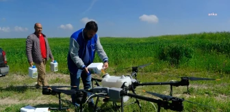 Eskişehir Büyükşehir Belediyesi, ZİHA ile tarım arazilerinde sıvı gübreleme çalışmalarını sürdürüyor