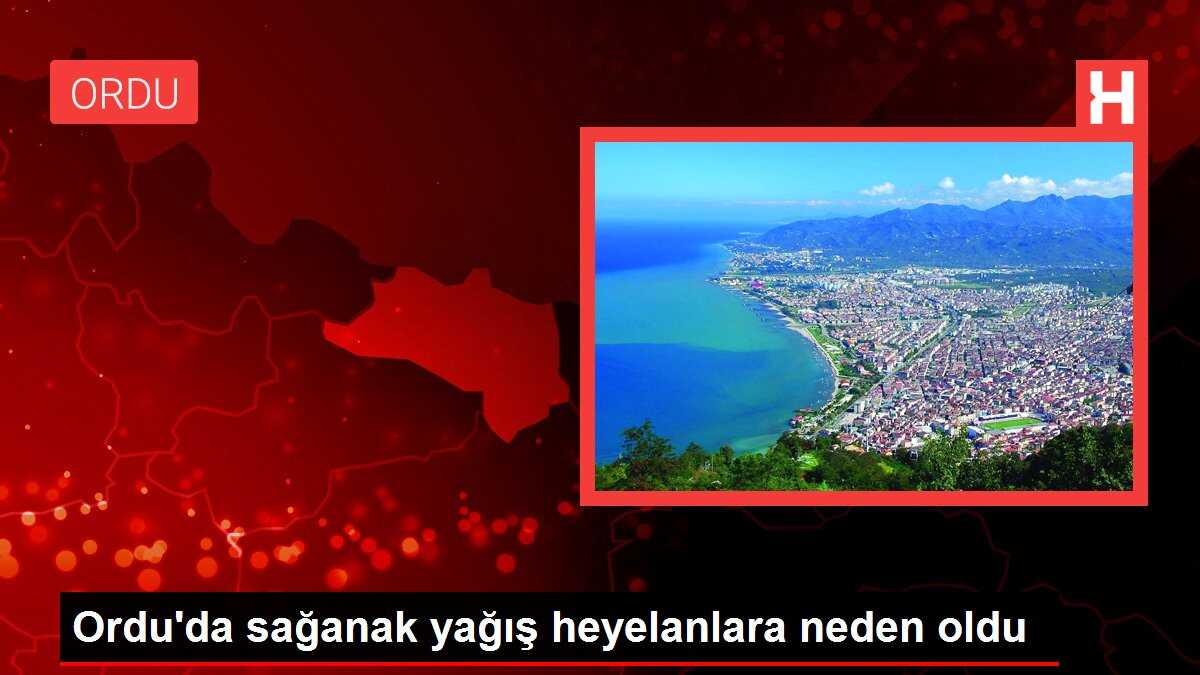 Ordu'da sağanak yağış heyelanlara neden oldu