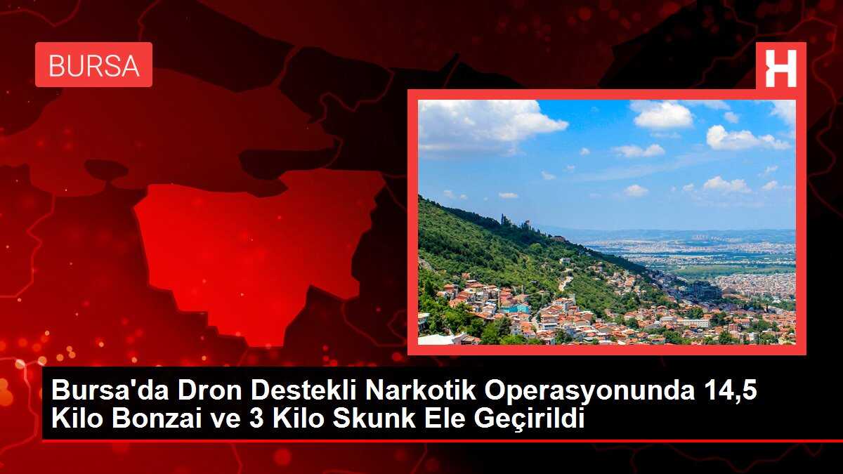 Bursa'da Dron Destekli Narkotik Operasyonunda 14,5 Kilo Bonzai ve 3 Kilo Skunk Ele Geçirildi