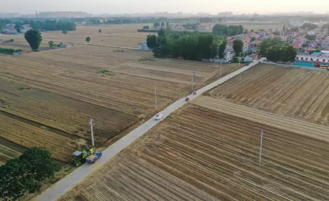 Çin'in Henan Eyaletinde Buğday Hasadı Tamamlanmak Üzere