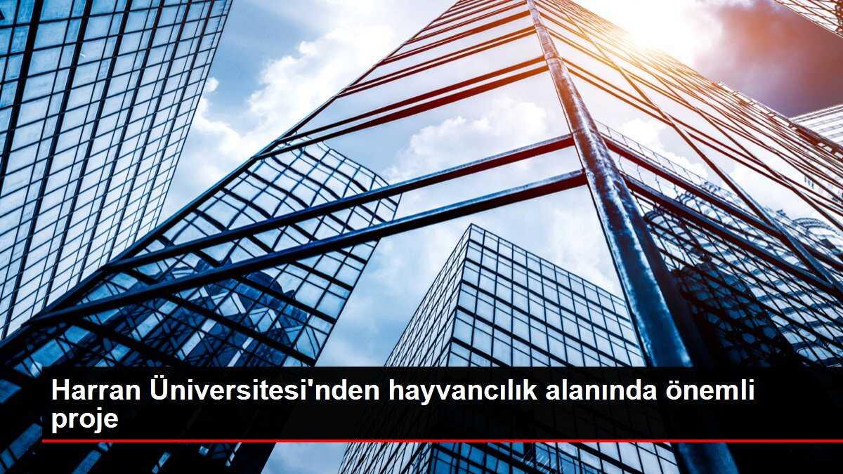 Harran Üniversitesi'nden hayvancılık alanında önemli proje
