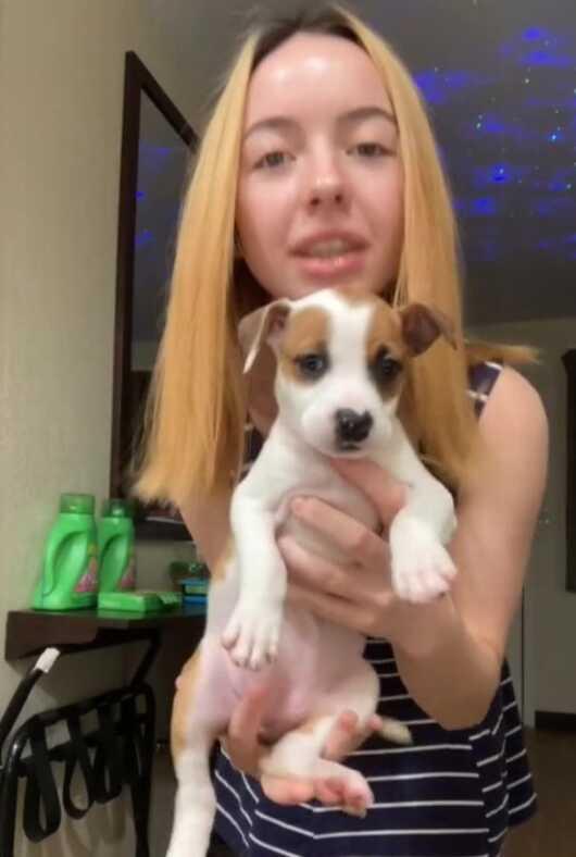 Köpekle ilişkiye girdiği gerekçesiyle tutuklanmıştı! Sosyal medya fenomenine ait farklı bir hesap ortaya çıktı Köpekle ilişkiye girdiği gerekçesiyle tutuklanmıştı! Sosyal medya fenomenine ait farklı bir hesap ortaya çıktı