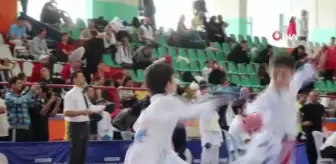 Karate Küçükler Yıldızlar Türkiye Şampiyonası Kırşehir'de düzenleniyor